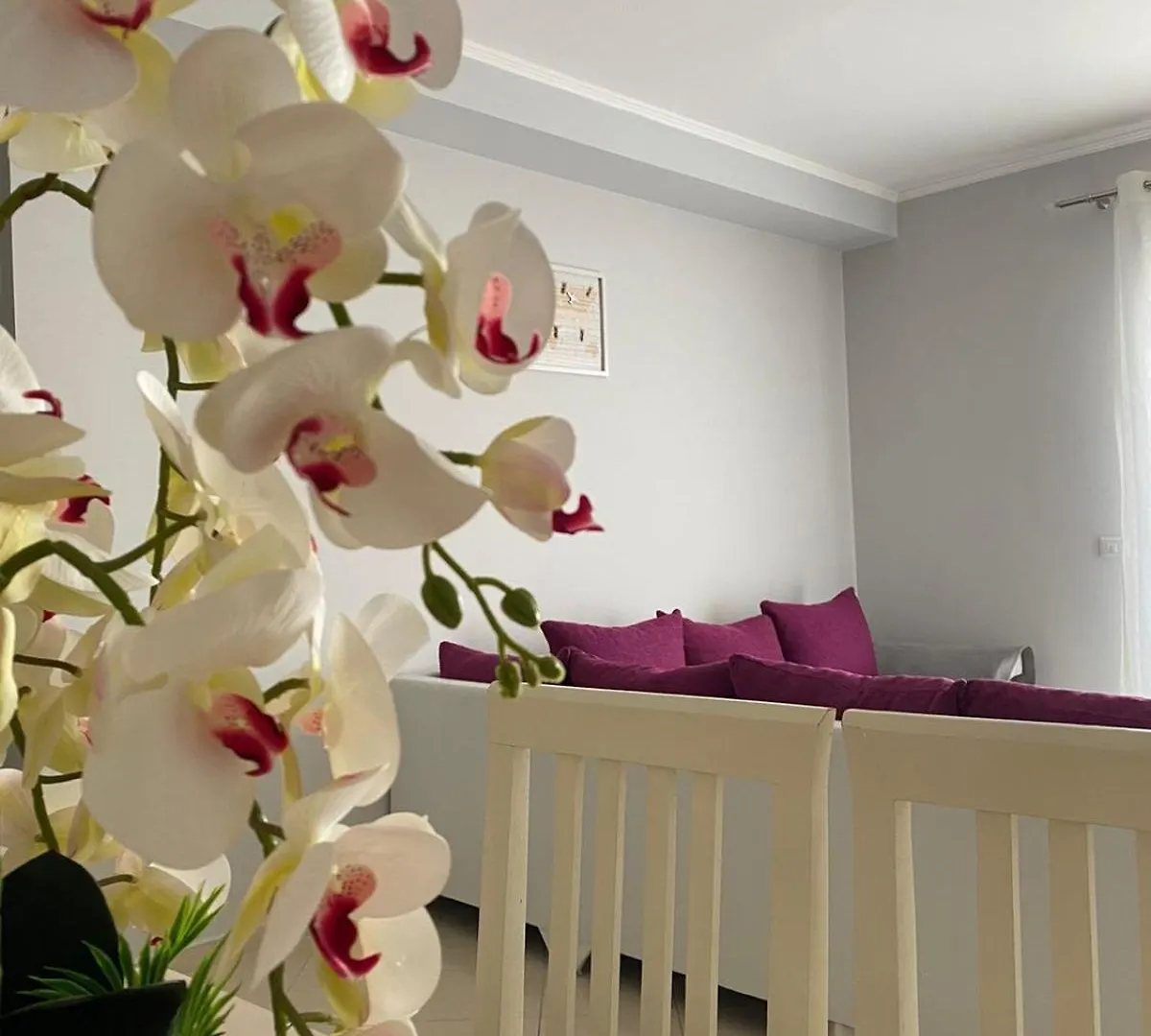 Ajlin'S Lungomare Apartment Vlorë